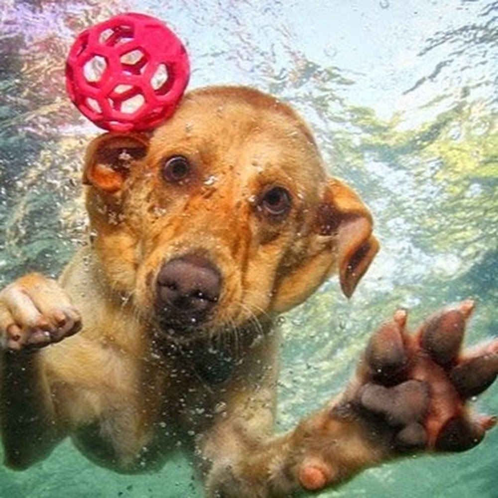 Hi! All items are either NWT or very gently used!